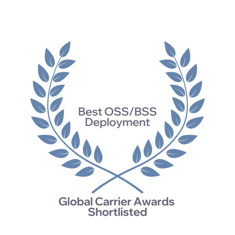 Best OSS/BSS Deployment Global Carrier Awards